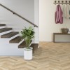 Panele podłogowe Faus Masterpieces Casual Chevron S180079 AC6/8mm