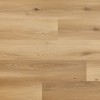 Panele winylowe Arbiton Woodric EIR Dąb Cavaillon CWS 210 AC5/4mm