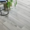 Panele winylowe Arbiton Woodric EIR Dąb Dayton CWS 201 AC5/4mm-2
