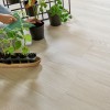 Panele winylowe Arbiton Woodric EIR Dąb Eldborg CWS 204 AC5/4mm-2