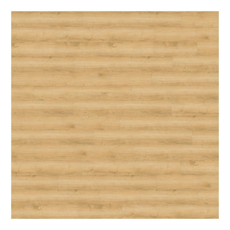 Panele winylowe Wineo 800 wood Glue Wheat Golden Oak DB00080 AC5/2,5mm