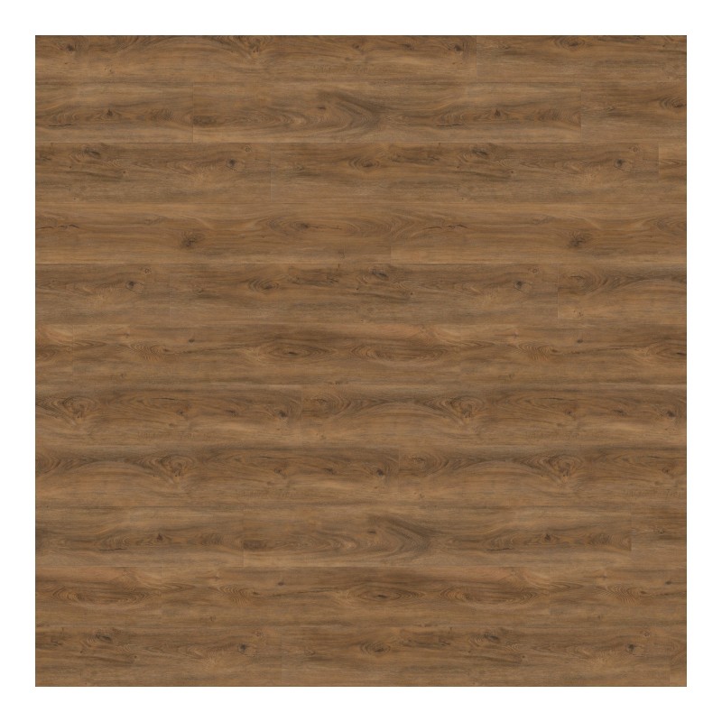 Panele winylowe Wineo 800 wood XL Click Cyprus Dark Oak DLC00066 AC5/5mm