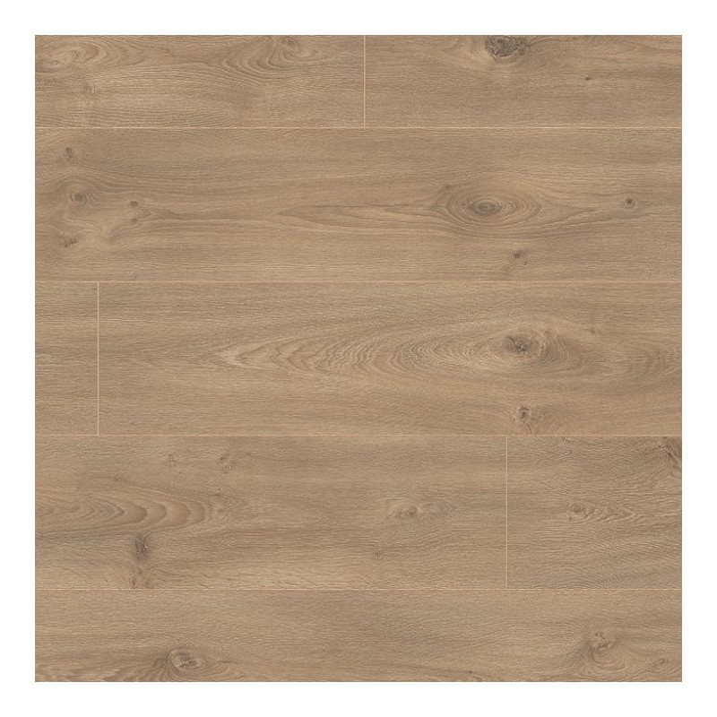 Panele podłogowe Premium Floor Ampio Dąb garda 88016 AC4/8mm