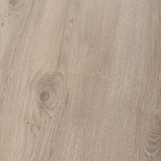 Panele Podłogowe Premium Floor Ultra dąb naturalny 88853 AC4/8mm