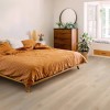 Panele Winylowe Parquetvinyl Lamett Tarn z podkładem Vanilla Fudge TAR-845-IB AC5/5mm