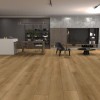 Panele Winylowe VinylTechLab Woodlands Madeira 05EIR-027 AC5/7mm