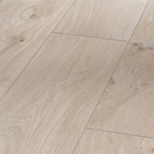 Panele podłogowe Parador Basic 400 Dąb Naturalny szary 1593798 AC4/8mm