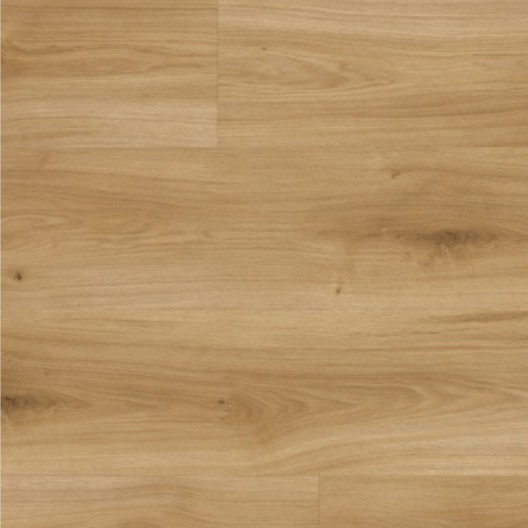 Panele podłogowe Parador Basic 400 Dąb Horizont naturalny 1593813 AC4/8mm