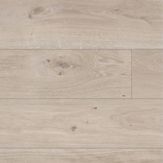 Panele podłogowe Parador Basic 400 Dąb Naturalny szary 1593798 AC4/8mm