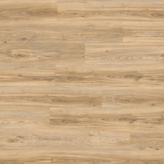 Panele winylowe Moduleo Roots 55 Blackjack Oak 22220 AC5/2,5mm