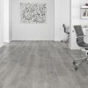 Panele podłogowe Faus Tempo Pasion Oak S184459 AC5/8mm