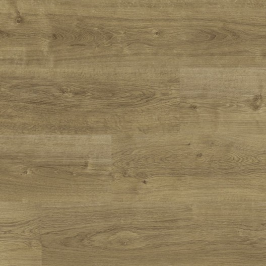 Panele podłogowe Faus Tempo Alhambra Oak S184466 AC5/8mm