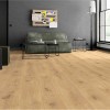 Panele podłogowe Swiss Krono Terra Dąb di Trevi Aqua Block D 4917 AC5/8mm