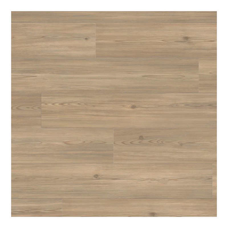 Panele podłogowe Haro Tritty 90 Standard Pine Florence 544687 AC4/7mm