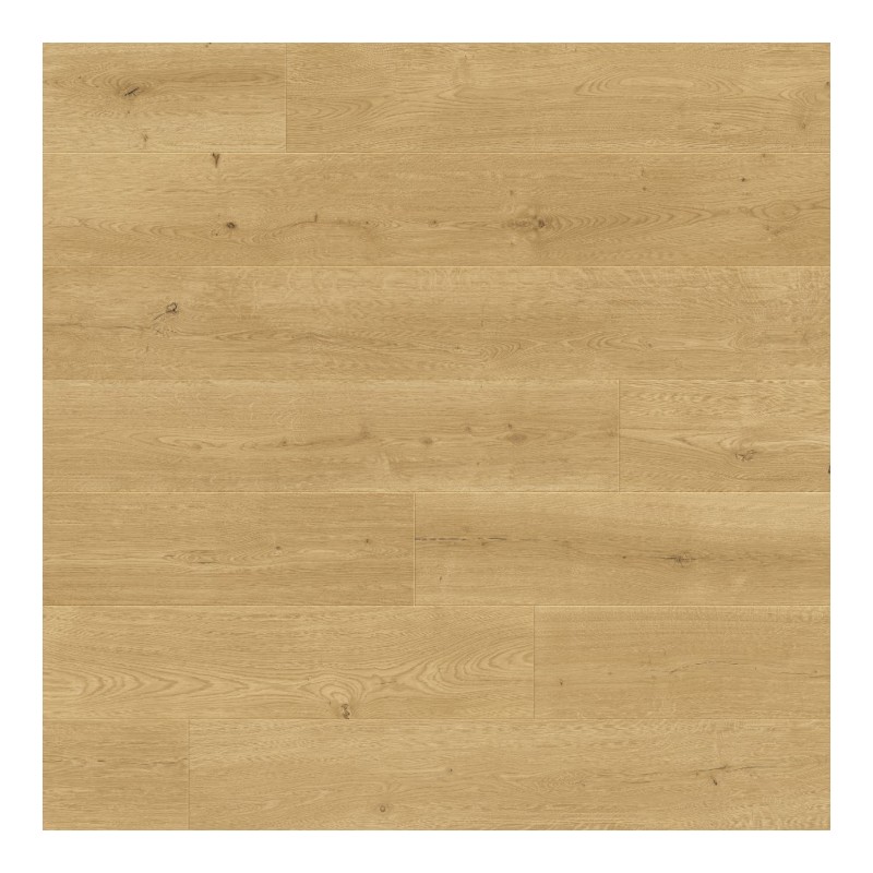 Panele podłogowe Pergo Odense Dąb Wyrazisty L0363-06796 AC4 9,5mm