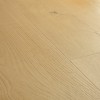 Panele podłogowe Pergo Odense Pro Dąb Przejrzysty L0263-06795 AC5 9,5mm
