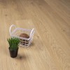 Panele Podłogowe Premium Floor Dąb Jantar 87718 Ultra Plus AC5/8mm