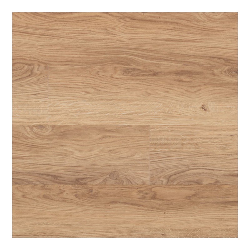 Panele winylowe Hobuco Bordo Gluedown Barbados 177730231 23/33/42 2,5mm