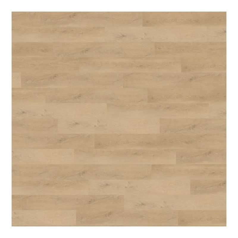Panele winylowe Wineo 400 wood L Glue Plain Oak Beige DB281WL 23/31 2mm