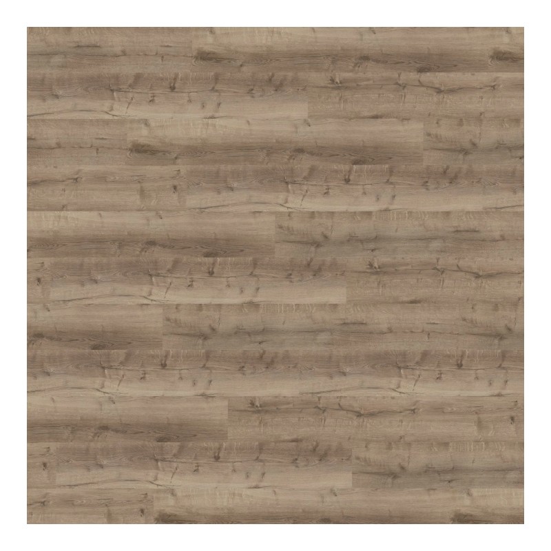 Panele winylowe Wineo 400 wood XL Glue Comfort Oak Taupe DB300WXL 23/31 2mm