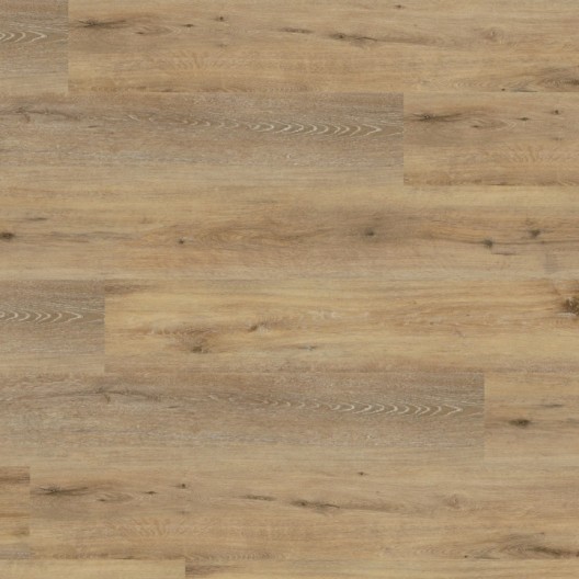 Panele winylowe Wineo 400 wood XL Glue Joy Oak Tender DB126WXL 23/31 2mm