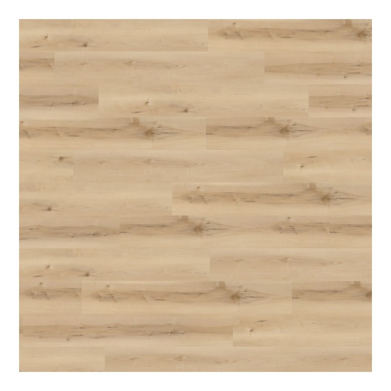 Panele winylowe Wineo 400 wood XL Glue Nordic Maple Cream DB289WXL 23/31 2mm