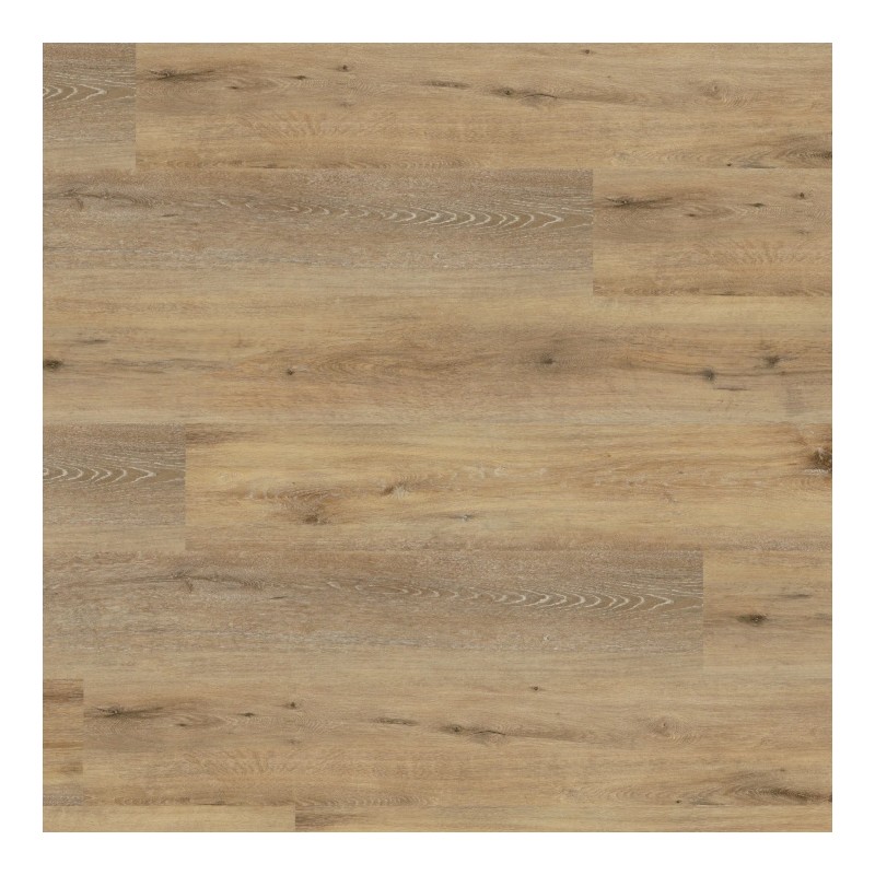 Panele winylowe Wineo 400 wood XL MultiLayer Joy Oak Tender MLD126WXL 23/31 9mm