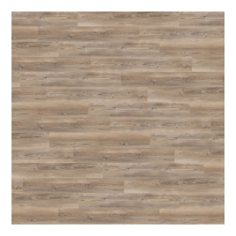 Panele winylowe Wineo 400 wood L Click Coast Pine Taupe RLC284WL 23/31 5,5mm