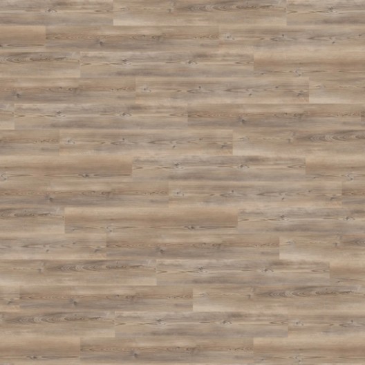 Panele winylowe Wineo 400 wood L Click Coast Pine Taupe RLC284WL 23/31 5,5mm