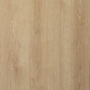 Panele podłogowe Wild Wood Camsan Platinium 2102 Belgrad Oak 10mm