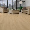 Panele podłogowe Wild Wood Camsan Platinium 2102 Belgrad Oak 10mm