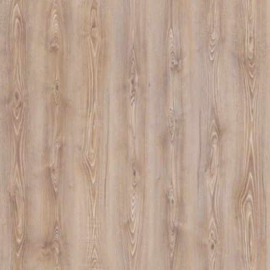Panele podłogowe Wild Wood Camsan Gloria Hekla 12mm