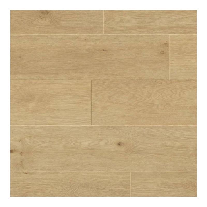 Panele podłogowe Metamorphose Belgium Water Protect AC4 Plus Oise 996736 8mm