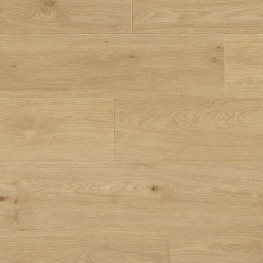 Panele podłogowe Metamorphose Belgium Water Protect AC4 Plus Oise 996736 8mm
