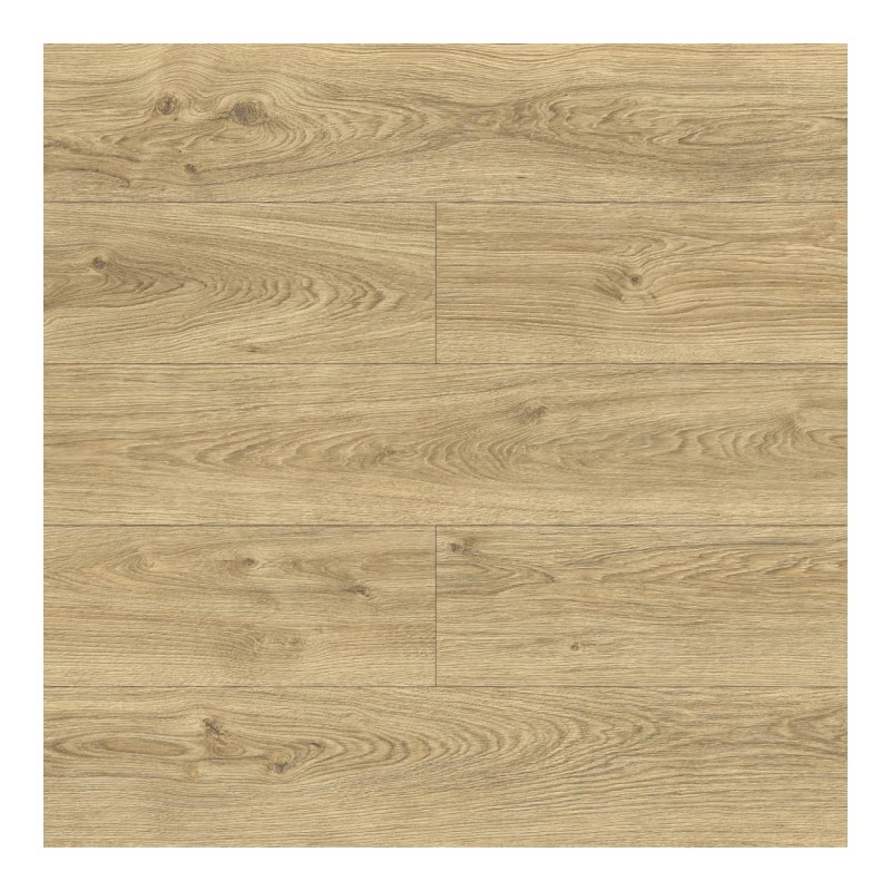 Panele podłogowe Swiss Krono Bella Aqua Block Dąb Amelia D40604 AC5 10mm