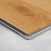 Panele Winylowe Barlinek Next Step Dąb Imbirowy z Podkładem DP5000013 6mm