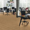 Panele podłogowe Egger NatureSense Aqua 24h AC5 Long Dąb Cadiz miodowy EL2137 10mm