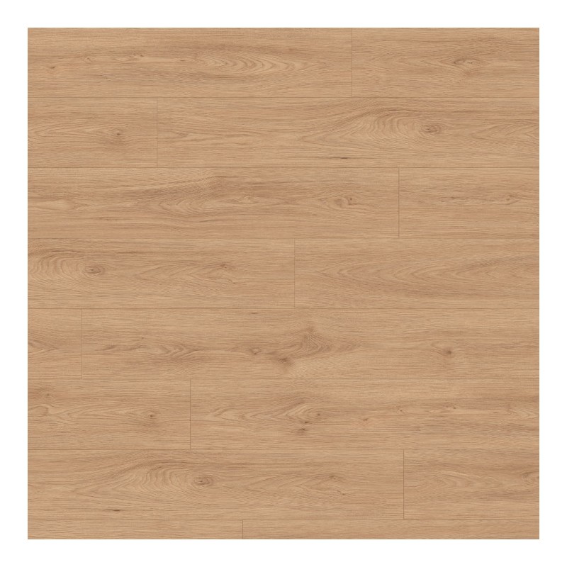 Panele podłogowe Egger NatureSense Aqua 24h AC5 Classic Jesion Avio naturalny EL2242 8mm