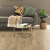 Panele podłogowe Egger NatureSense Aqua 24h AC4 Large Dąb Valley naturalny EL2973 8mm