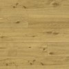Panele winylowe Classen Ceramin Flooring Tasmanian 65141 5mm