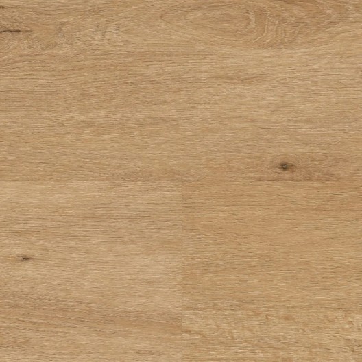 Panele winylowe Wineo 400 wood XL Glue Country Oak Nature DB294WXL 23/31 2mm