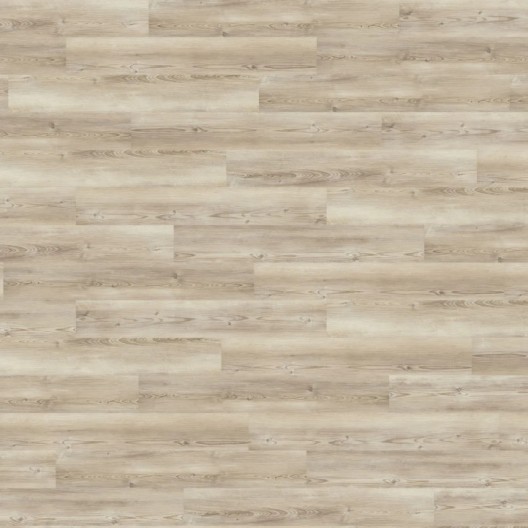 Panele winylowe Wineo 400 wood L Click Coast Pine Greige RLC280WL 23/31 5,5mm