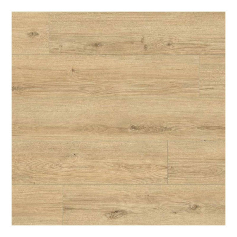 Panele podłogowe Classen HydroClick Konigseiche 63684 AC5 9mm