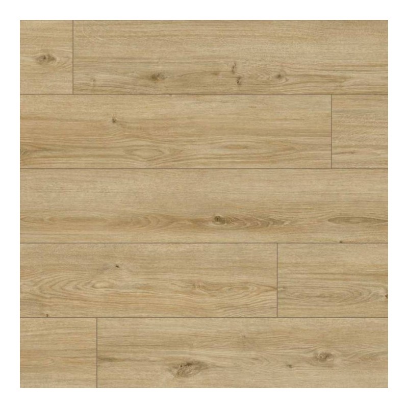 Panele podłogowe Classen HydroClick Sandeiche 63675 AC5 9mm