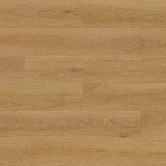 Panele winylowe Barlinek Next Step Standard Dąb Słoneczny DP3000015 4.5mm
