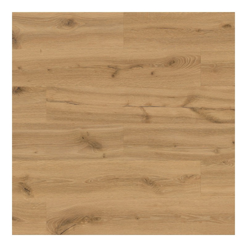 Panele winylowe Barlinek Next Step Standard z podkładem Dąb Bursztynowy DP3000002 5.5mm