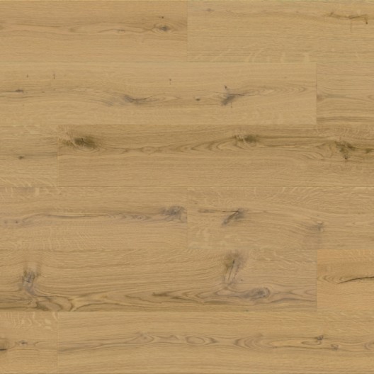 Panele winylowe Barlinek Next Step Standard z podkładem Dąb Miodowy DP3000004 5.5mm
