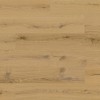 Panele winylowe Barlinek Next Step Standard z podkładem Dąb Miodowy DP3000004 5.5mm
