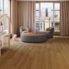 Panele winylowe Barlinek Next Step Standard z podkładem Dąb Pszeniczny DP3000020 5.5mm