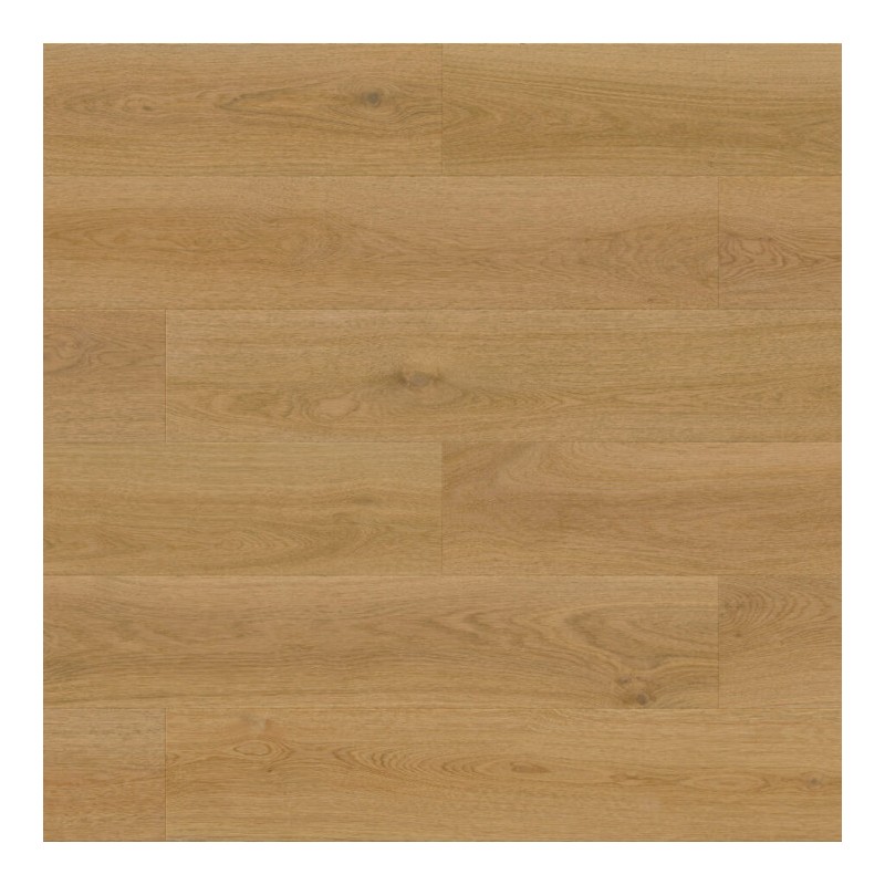 Panele winylowe Barlinek Next Step Standard z podkładem Dąb Słoneczny DP3000016 5.5mm